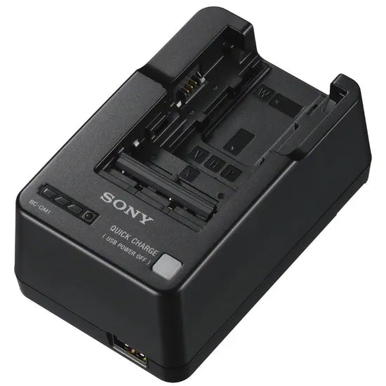 CARGA DE BATE SONY BC-QM1 (p/H, P, V, M, W)