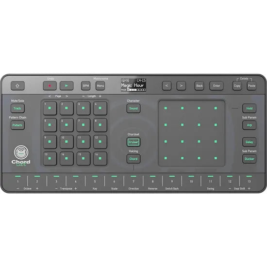 CONTROLADORA PIONEER DJ CHORDCAT 8-TRACK GROOVEBOX