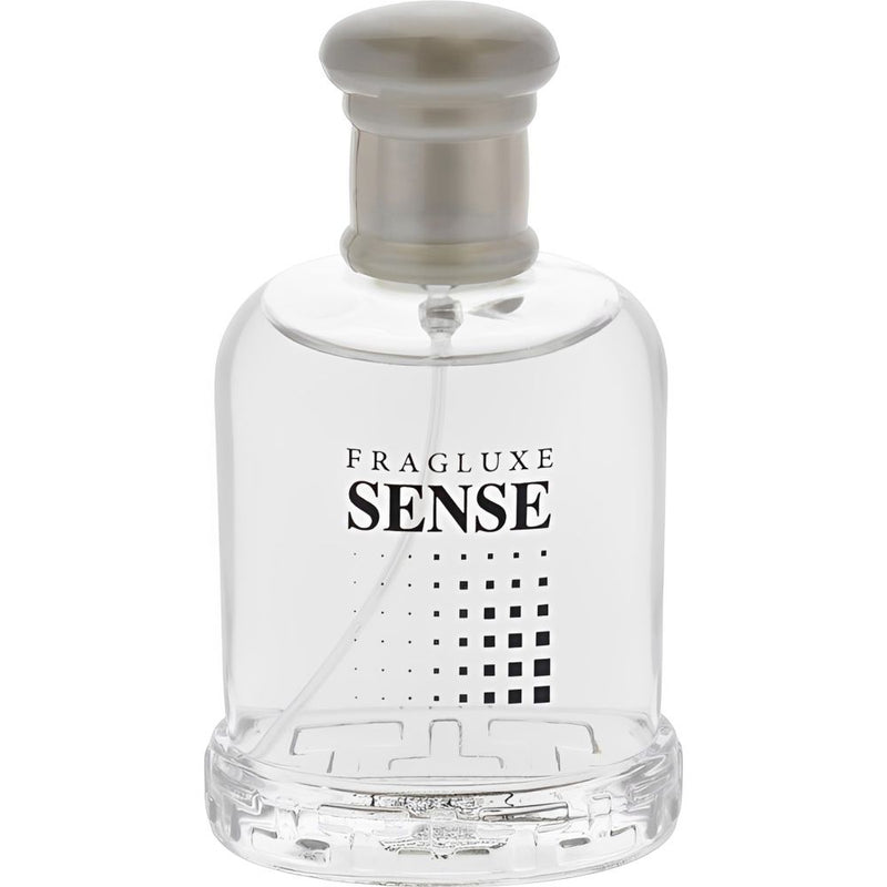 PERFUME FRAG SENSE MEN EDT 100ML - MASCULINO