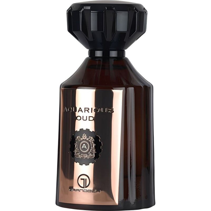 PERFUME GRANDEUR AQUARIOUS OUD 100ML - MASCULINO 147152