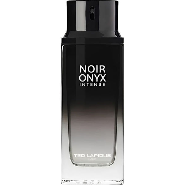 PERFUME TED LAPIDUS NOIR ONYX INTENSE EDP 125ML - MASCULINO