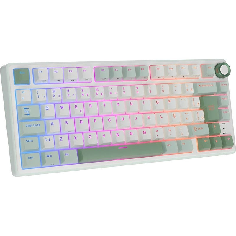 Teclado USB Royal Kludge RKR75 131198