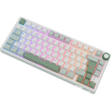 Teclado USB Royal Kludge RKR75 131198